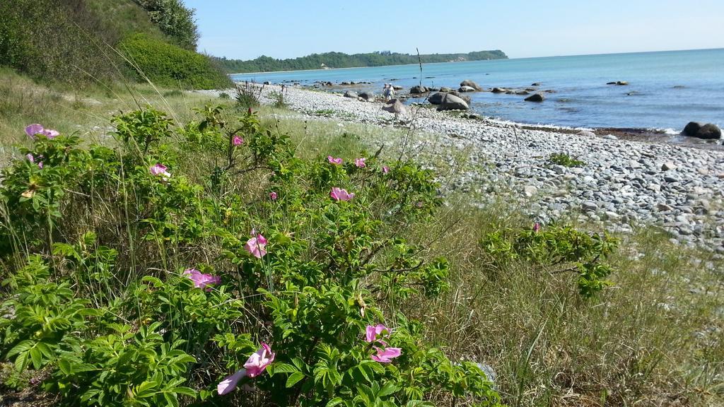 Ferienwohnungen Ruegen Findling Breege Esterno foto