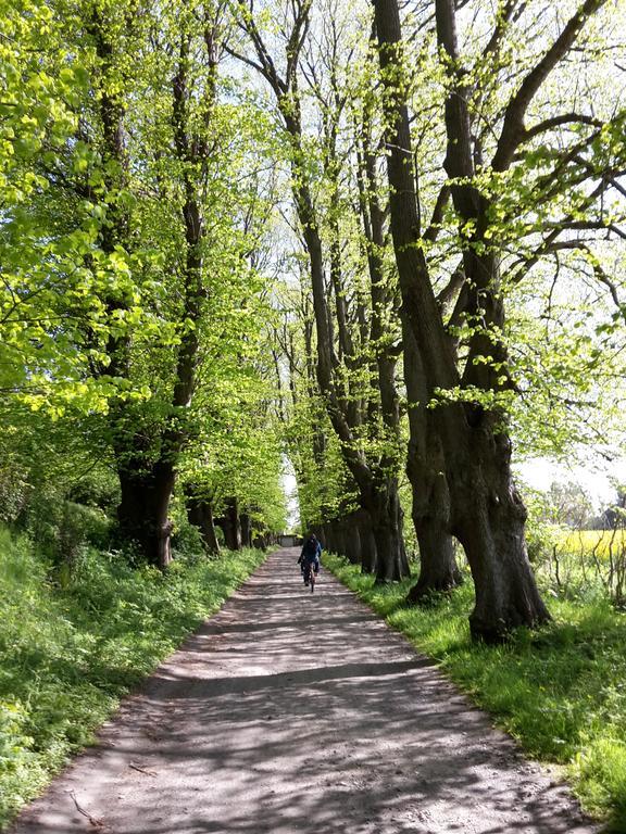 Ferienwohnungen Ruegen Findling Breege Esterno foto