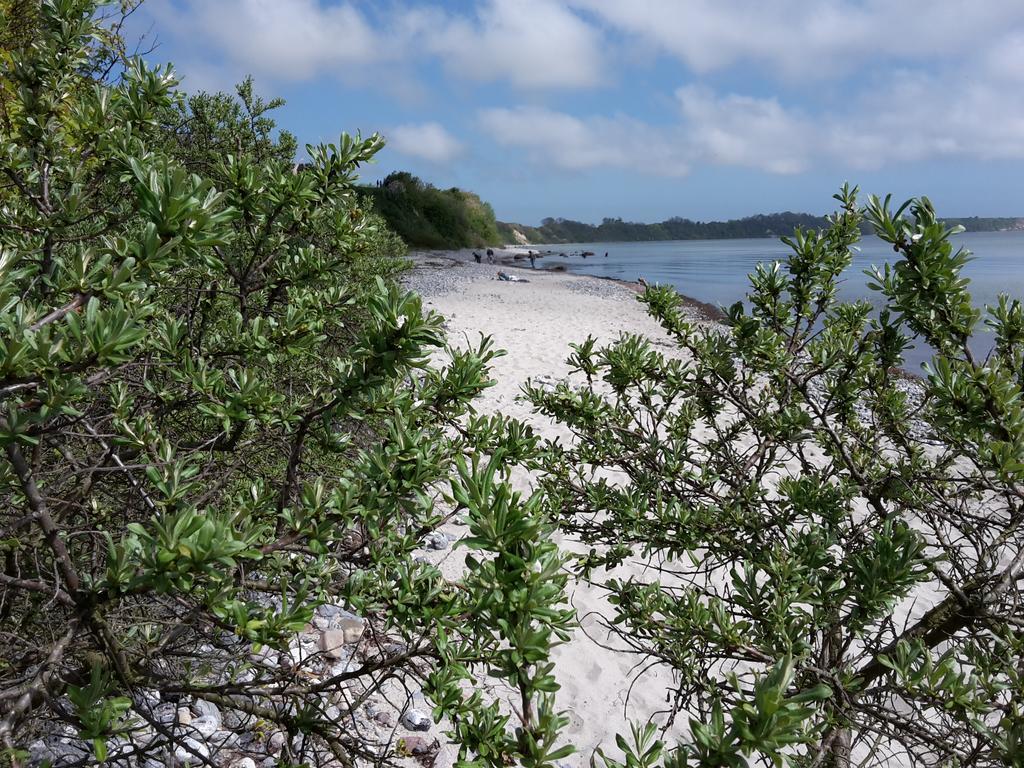 Ferienwohnungen Ruegen Findling Breege Esterno foto