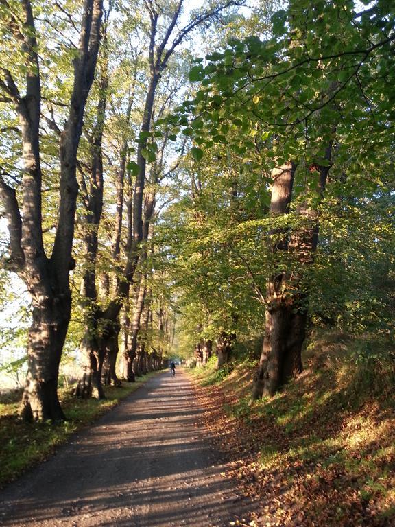 Ferienwohnungen Ruegen Findling Breege Esterno foto